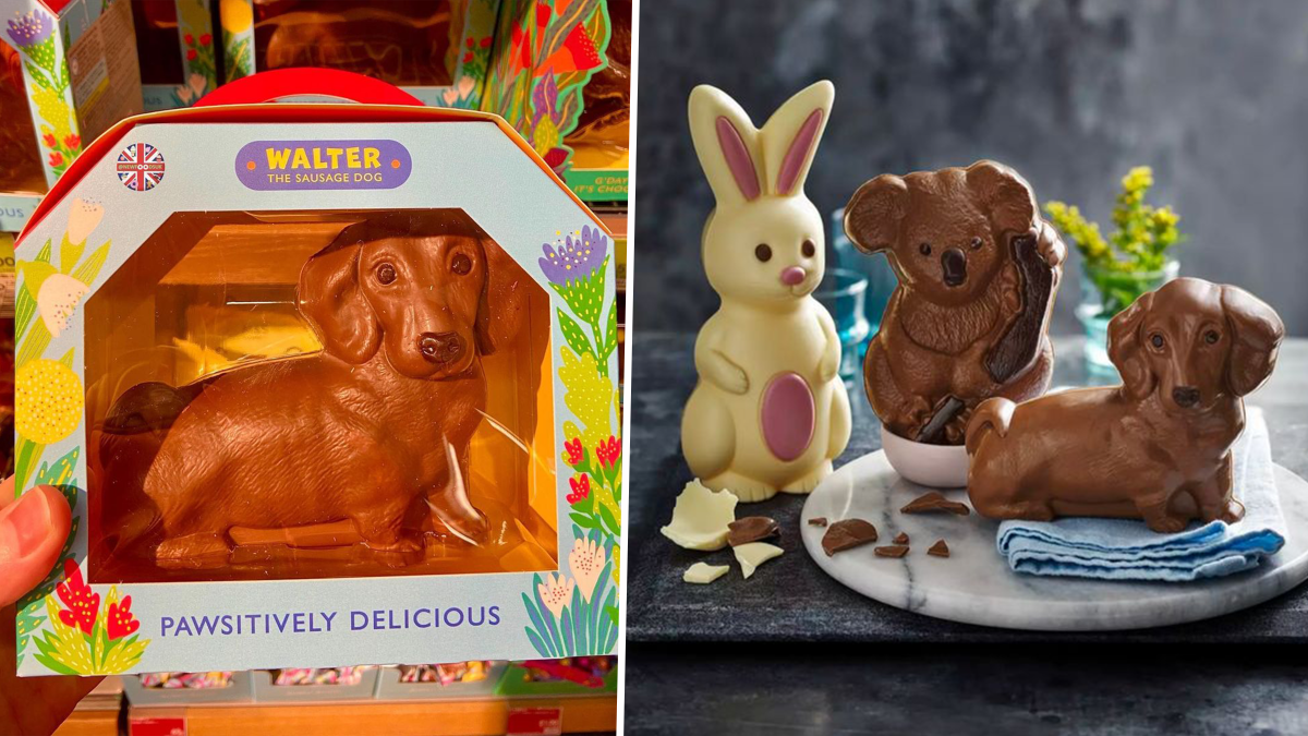 M&S Has Launched A Chocolate Sausage Dog For Easter And It Looks Delicious The Yorkshireman