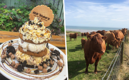 The Cosy Beach-Side Farm Serving Endless Flavours Of Ice Cream