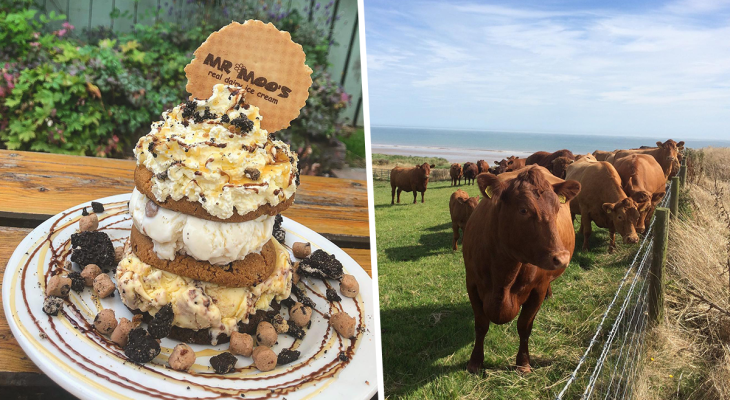 The Cosy Beach-Side Farm Serving Endless Flavours Of Ice Cream