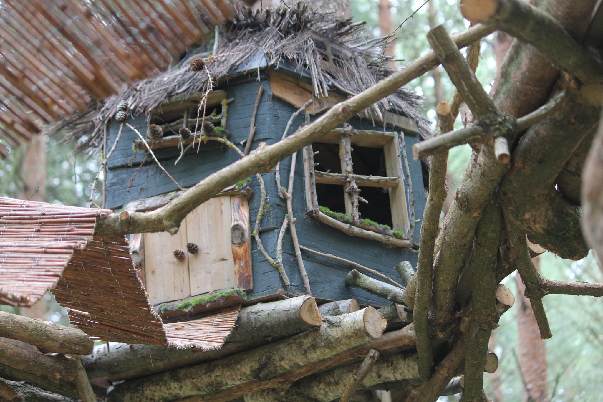 Northwood Trail Magical Fairy Walk York The Yorkshireman