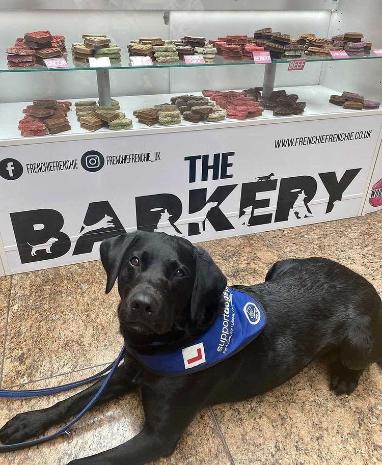A Bakery Packed Full Of Treats Especially For Dogs Has Opened In South Yorkshire