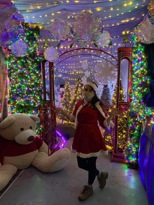 6 Of The Best Garden Centres In Yorkshire To Visit At Christmas