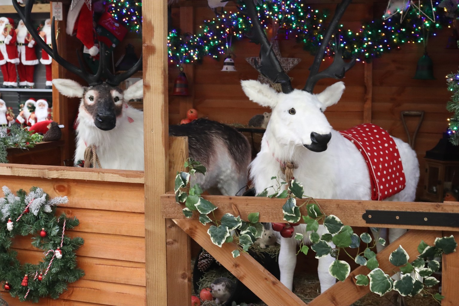6 Of The Best Garden Centres In Yorkshire To Visit At Christmas
