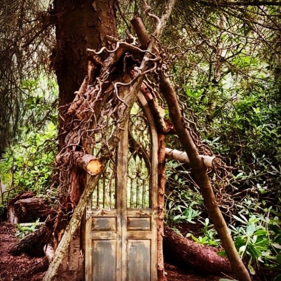 Halloween Fairy Trail Northwood Trail North Yorkshire The Yorkshireman