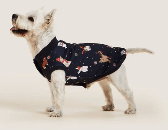 M&S Has Launched Matching Christmas PJs For You & Your Pooch