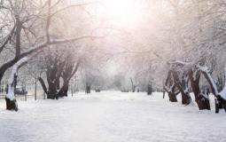 National Grid Triggers Its ‘Last Resort’ To Prevent Blackouts Due To Icy Weather Across UK