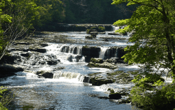 This Yorkshire Destination Has Been Named In The Top 10 Staycation Destinations For 2022