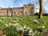 10 Of The Best Places In Yorkshire To See Snowdrops This Winter