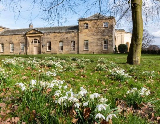 10 Of The Best Places In Yorkshire To See Snowdrops This Winter