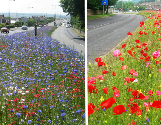 This Yorkshire Town’s Eight-Mile “River Of Wildflowers” Road Is Incredible
