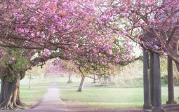 The Exact Date You Should Turn Your Heating Off For Spring Has Been Revealed By Experts