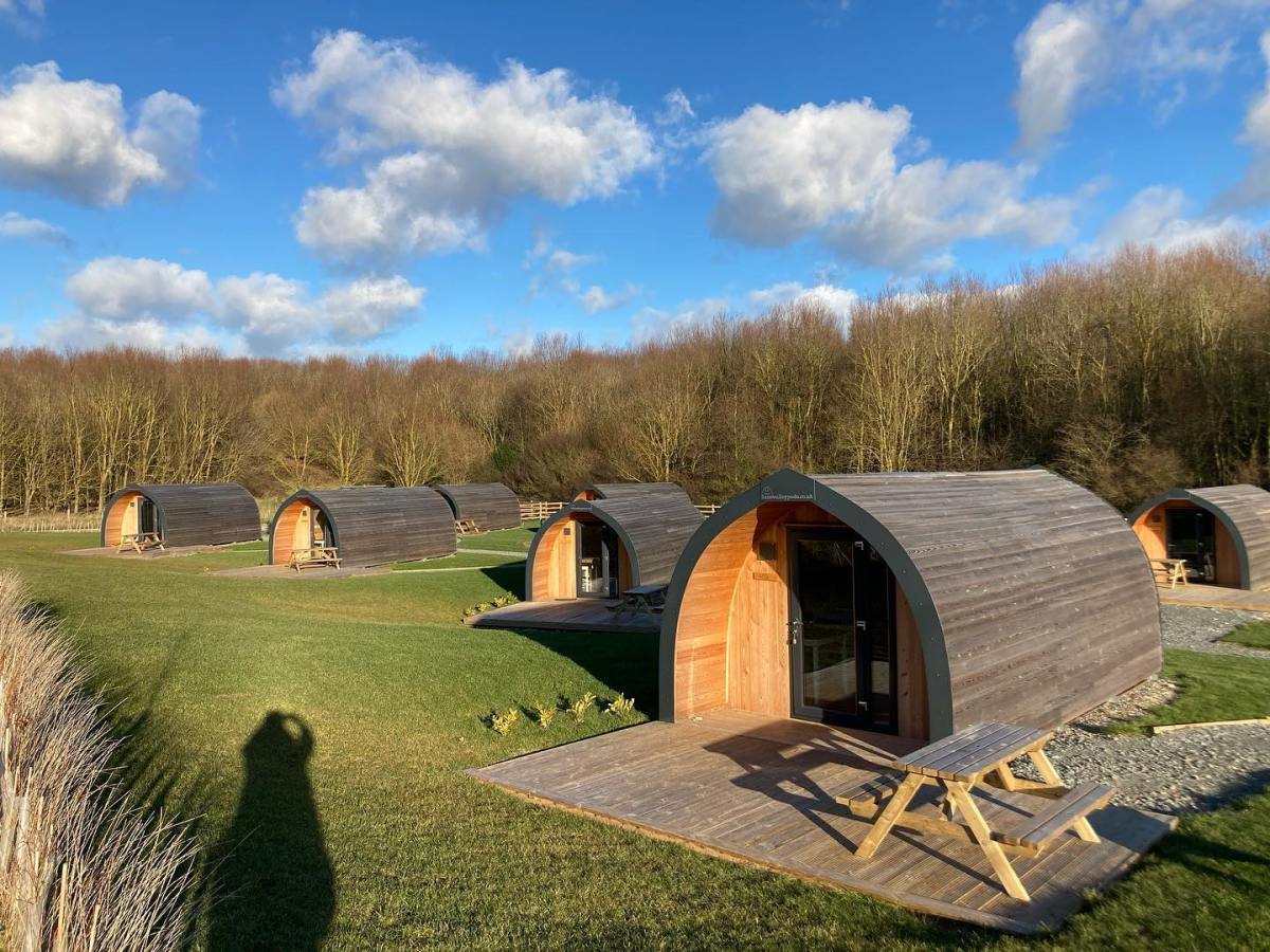 13 Dog Friendly Glamping Spots In Yorkshire - The Yorkshireman