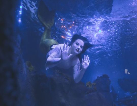 This Immersive Mermaid Experience In Yorkshire Sounds Amazing