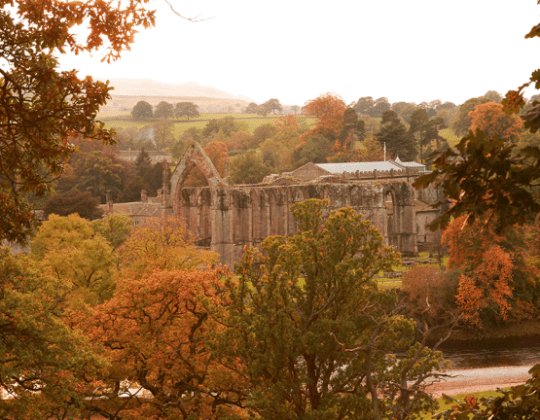 13 Autumn Walks That Will Make You Fall In Love With Yorkshire All Over Again