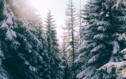 UK Set For Its First White Christmas In 12 Years According To New Long-Range Forecast