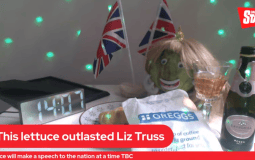 Daily Star Lettuce Is Celebrating Victory After Prime Minister Liz Truss Resigns