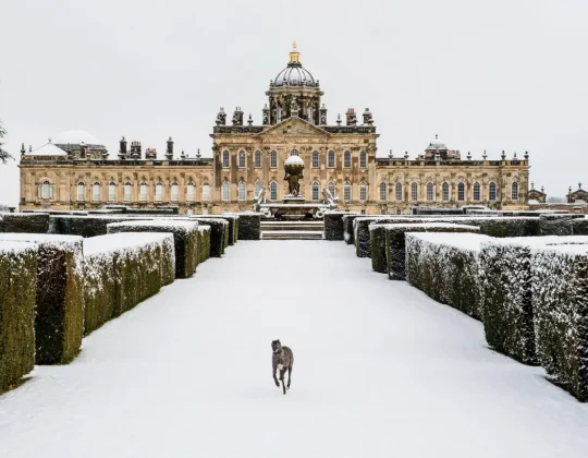 Castle Howard’s Epic Christmas Fairytale Experience Begins This Month
