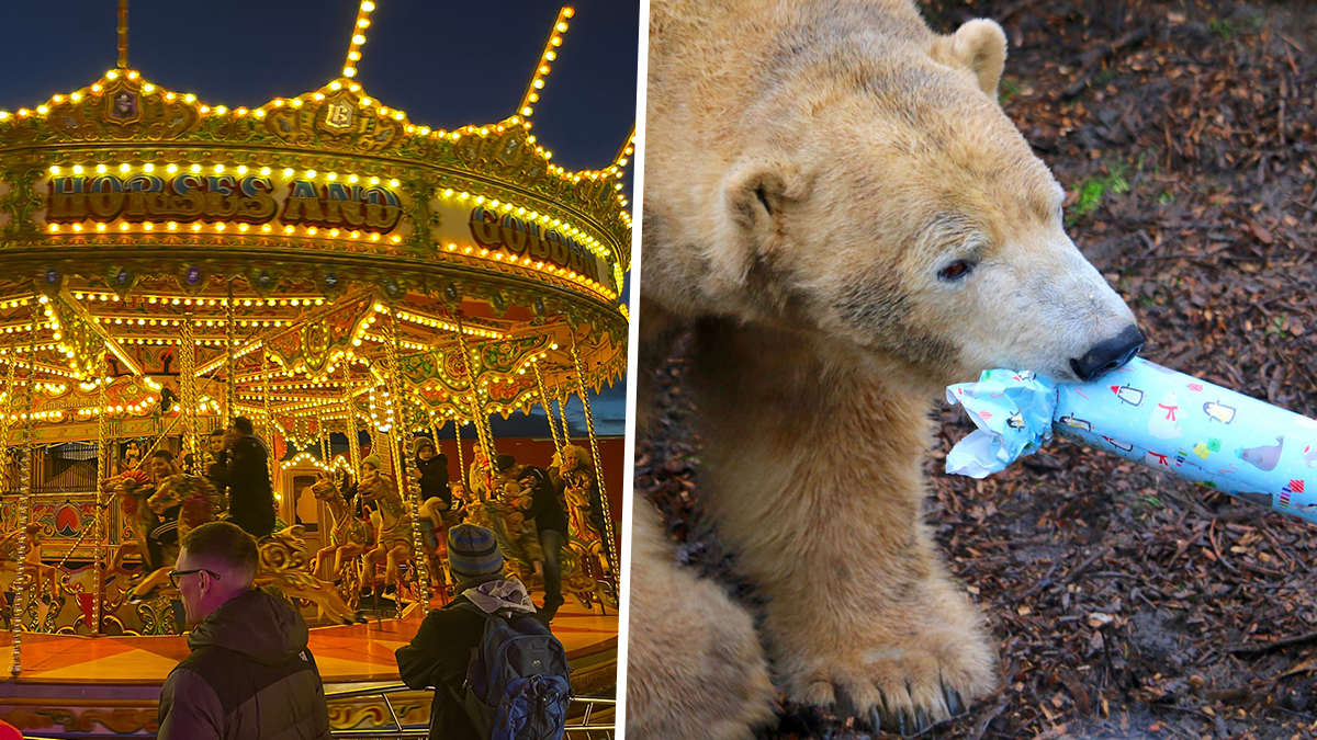 Yorkshire wildlife park christmas market 2025