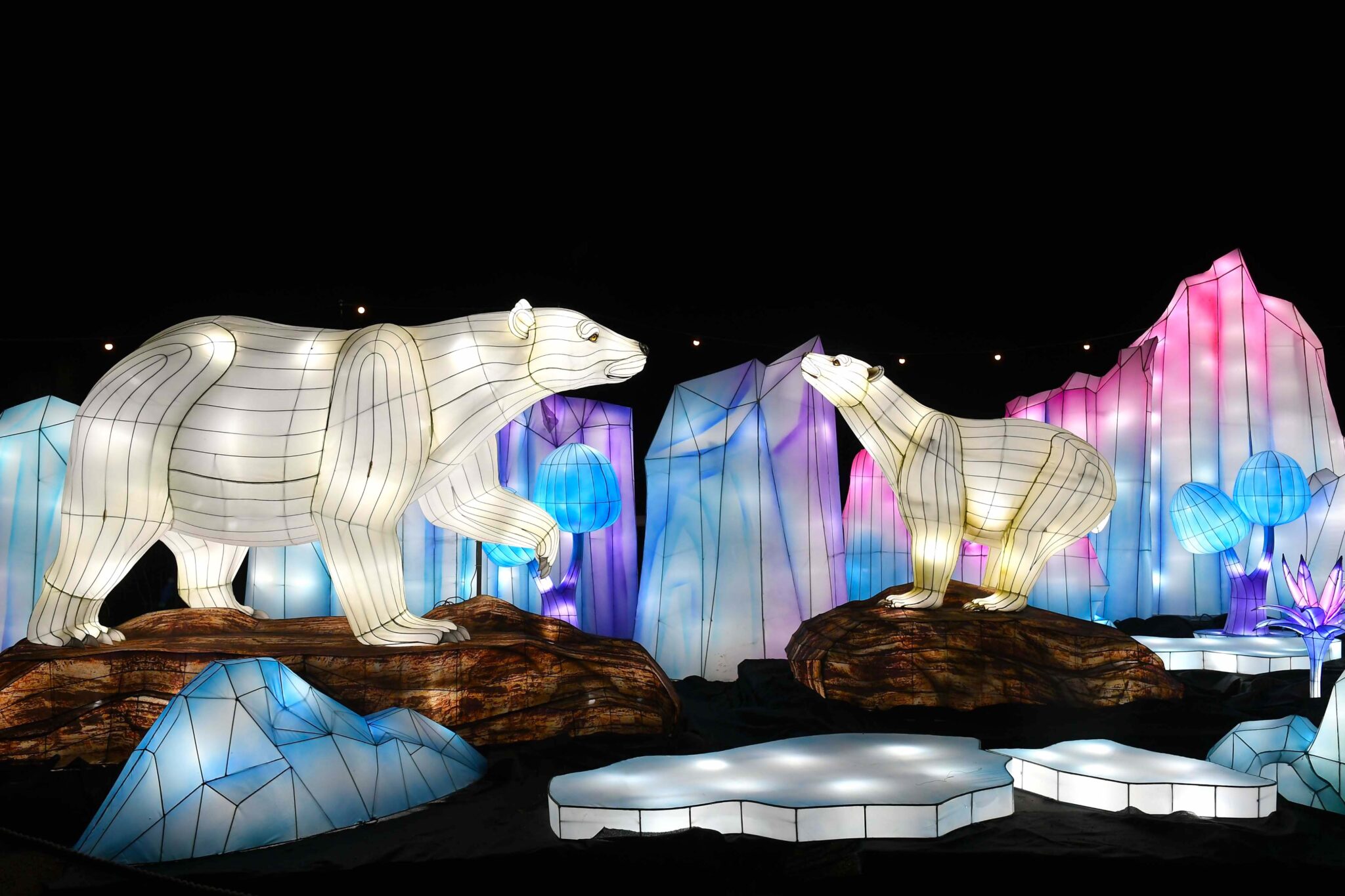 Yorkshire Wildlife Park Winter Illuminations Return For 2023