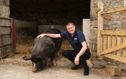 You Can Experience Real Work On The Farm At This Yorkshire Dales Farm