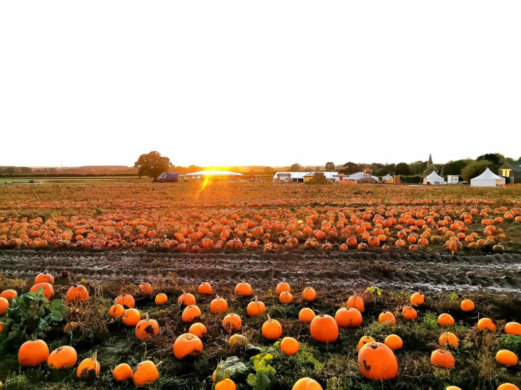 things to do yorkshire october 2023