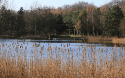 This North Yorkshire Forest Has Been Named Among Best In The UK