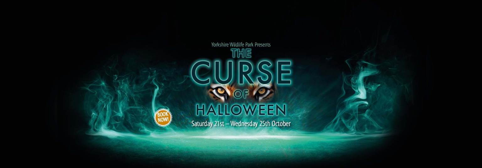 16 Halloween Events Yorkshire 2023 The Yorkshireman