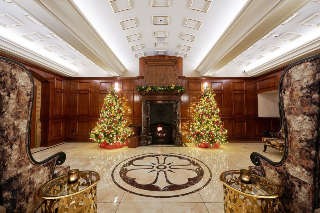 Christmas trees at Aldwark Manor Estate. 