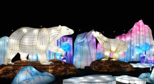 Yorkshire Wildlife Park’s Epic Animal-Themed Winter Illuminations Have Returned To Doncaster