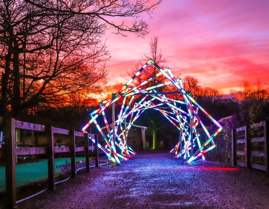8 Of The Most Stunning Illuminated Walking Trails To Enjoy In Yorkshire This Winter