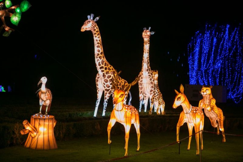 Things To Do With Kids Christmas Yorkshire