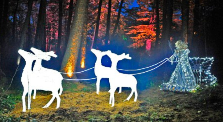 10 Of The Best Things To Do With Kids At Christmas In Yorkshire