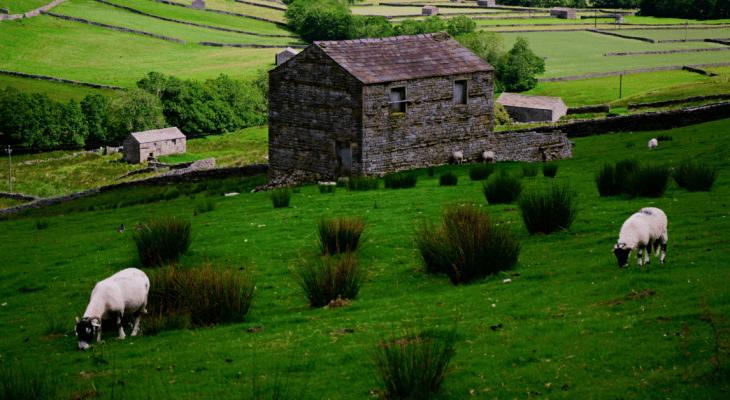 Ey Up! Exploring All The Ways To Say Hello In Yorkshire