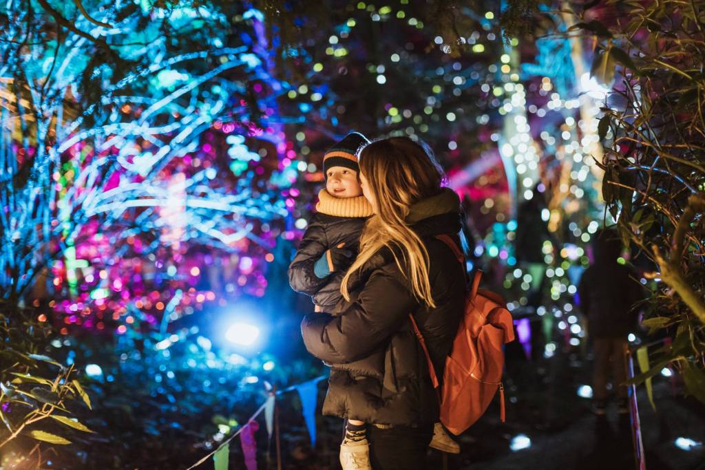 Things To Do With Kids Christmas Yorkshire