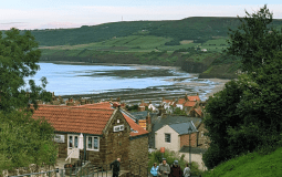 Yorkshire Coast Vineyard At Robin Hood’s Bay Applies For Alcohol Licence To Offer Wine Tours