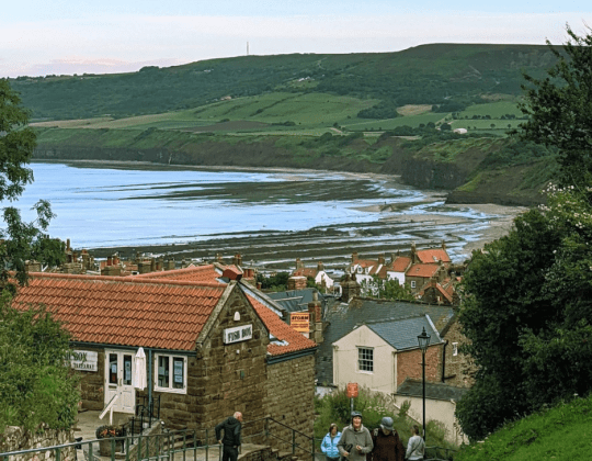 Yorkshire Coast Vineyard At Robin Hood’s Bay Applies For Alcohol Licence To Offer Wine Tours