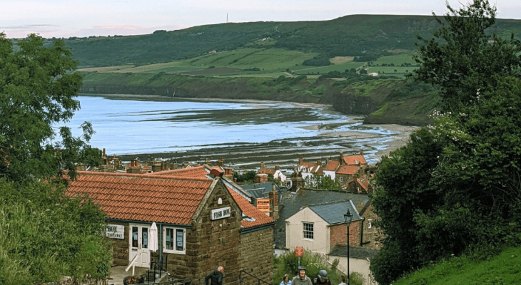 Yorkshire Coast Vineyard At Robin Hood’s Bay Applies For Alcohol Licence To Offer Wine Tours