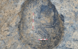 4,500 Years Old Prehistoric Human Remains Found At East Yorkshire Sewer Site