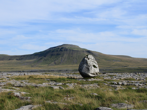 Yorkshire Wildlife Trust Launch Urgent Appeal To Save One Of Yorkshire’s Most Important Wild Landscapes