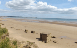This Sandy Beach Is The Most Dog-Friendly In Yorkshire