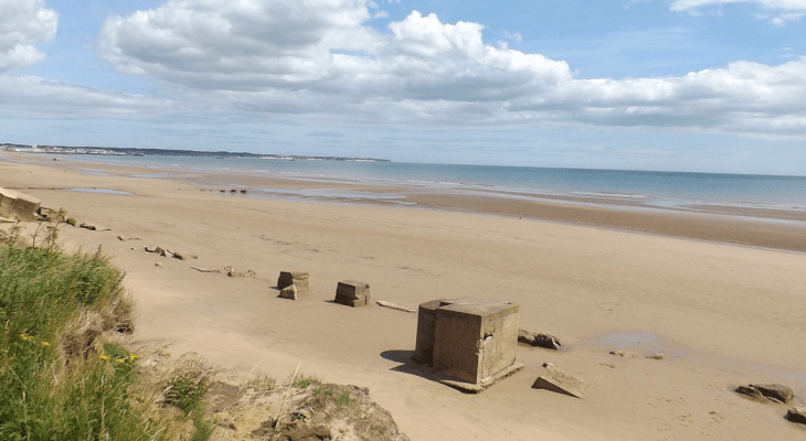 This Sandy Beach Is The Most Dog-Friendly In Yorkshire