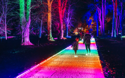 An Immersive Northern Lights Light Trail Is Coming To Yorkshire This Christmas