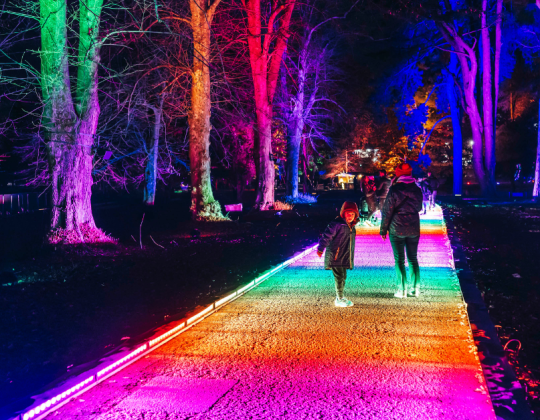An Immersive Northern Lights Light Trail Is Coming To Yorkshire This Christmas