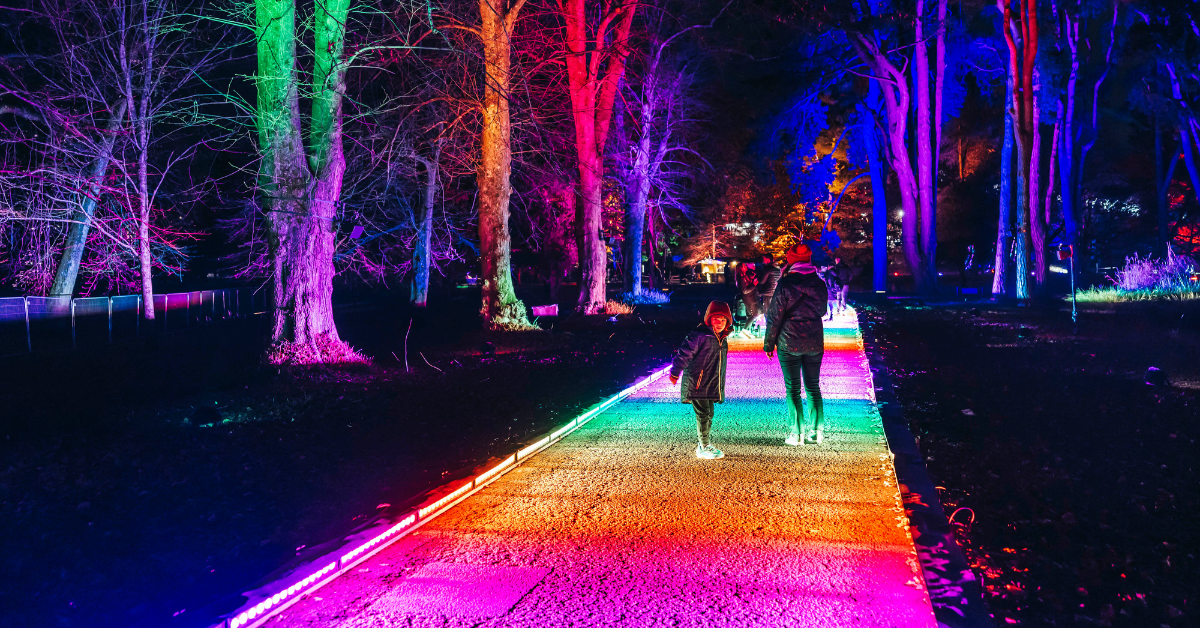 An Immersive Northern Lights Light Trail Is Coming To Yorkshire This an-immersive-northern-lights-light-trail-is-coming-to-yorkshire-this