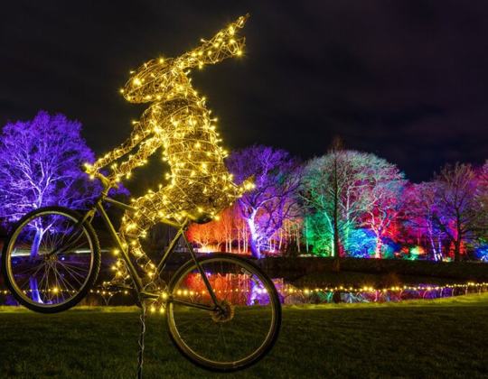 This Enchanted Woodland Wonderland Is Returning To Yorkshire This Christmas