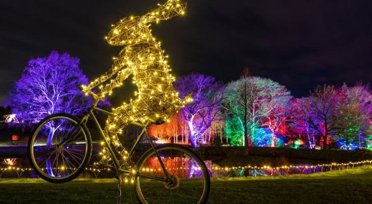 This Enchanted Woodland Wonderland Is Returning To Yorkshire This Christmas