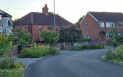 Guerrilla Gardener Transforms Neglected Leeds Street Into Blooming Wildflower Haven
