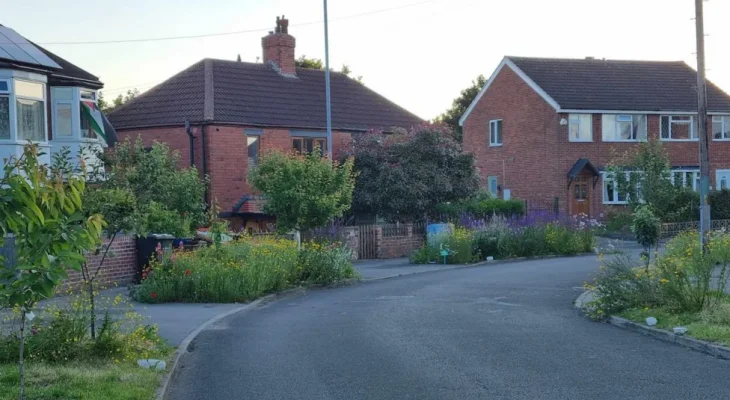 Guerrilla Gardener Transforms Neglected Leeds Street Into Blooming Wildflower Haven