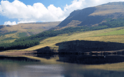 Two Yorkshire Spots Named Most Scenic Dog Walks In The UK