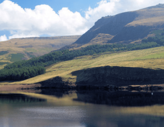 Two Yorkshire Spots Named Most Scenic Dog Walks In The UK